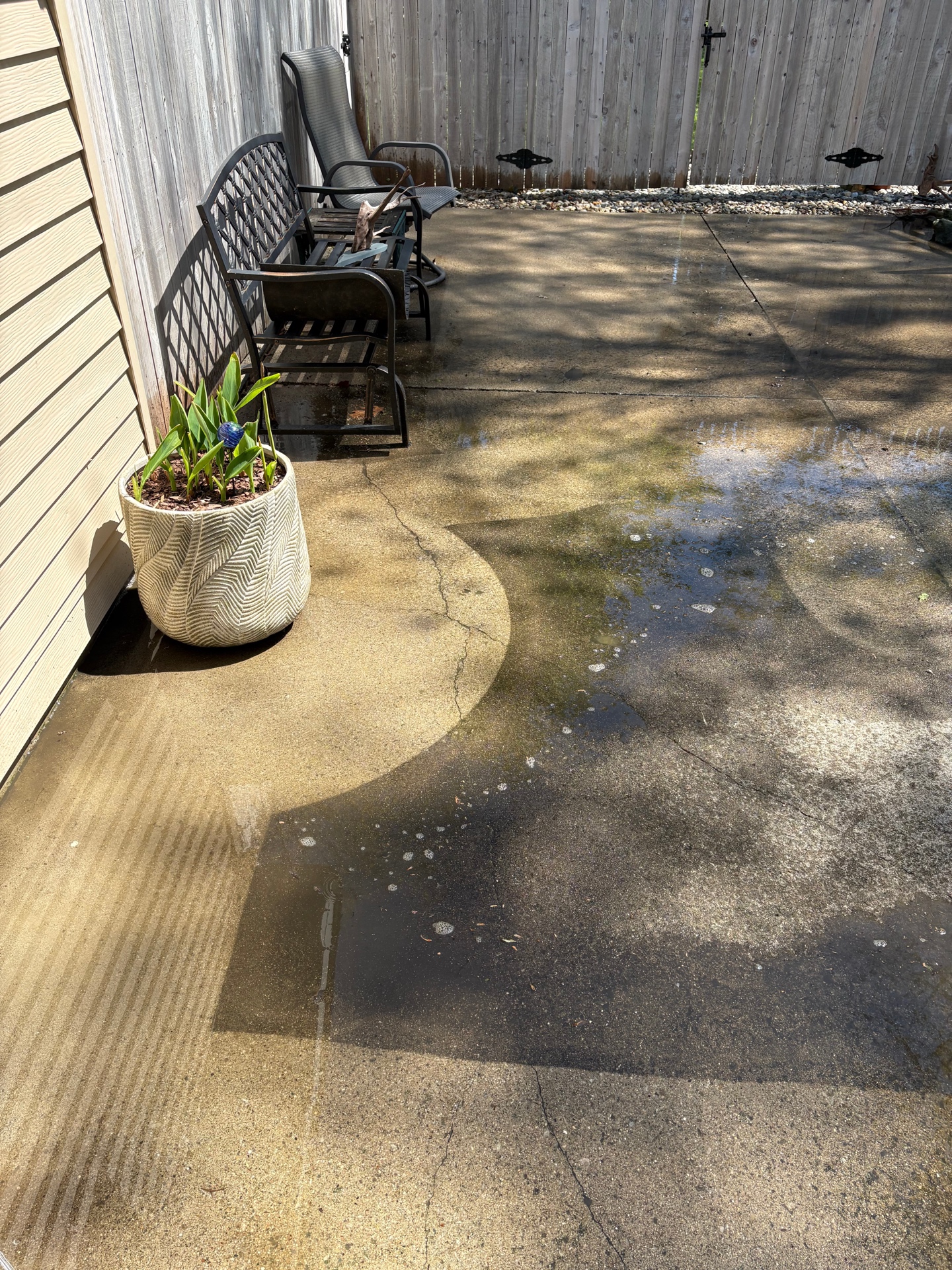 Concrete & Driveway Cleaning